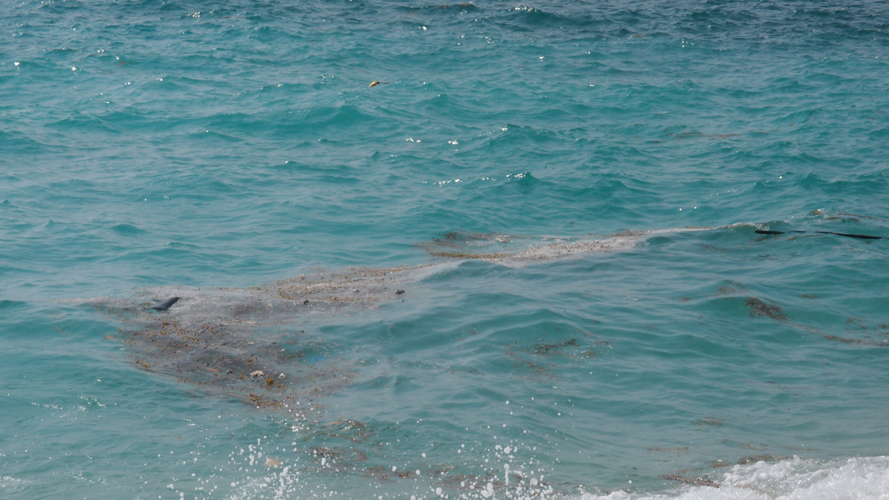 2019-12-28 10 uhr am Strand (Audio, Video)